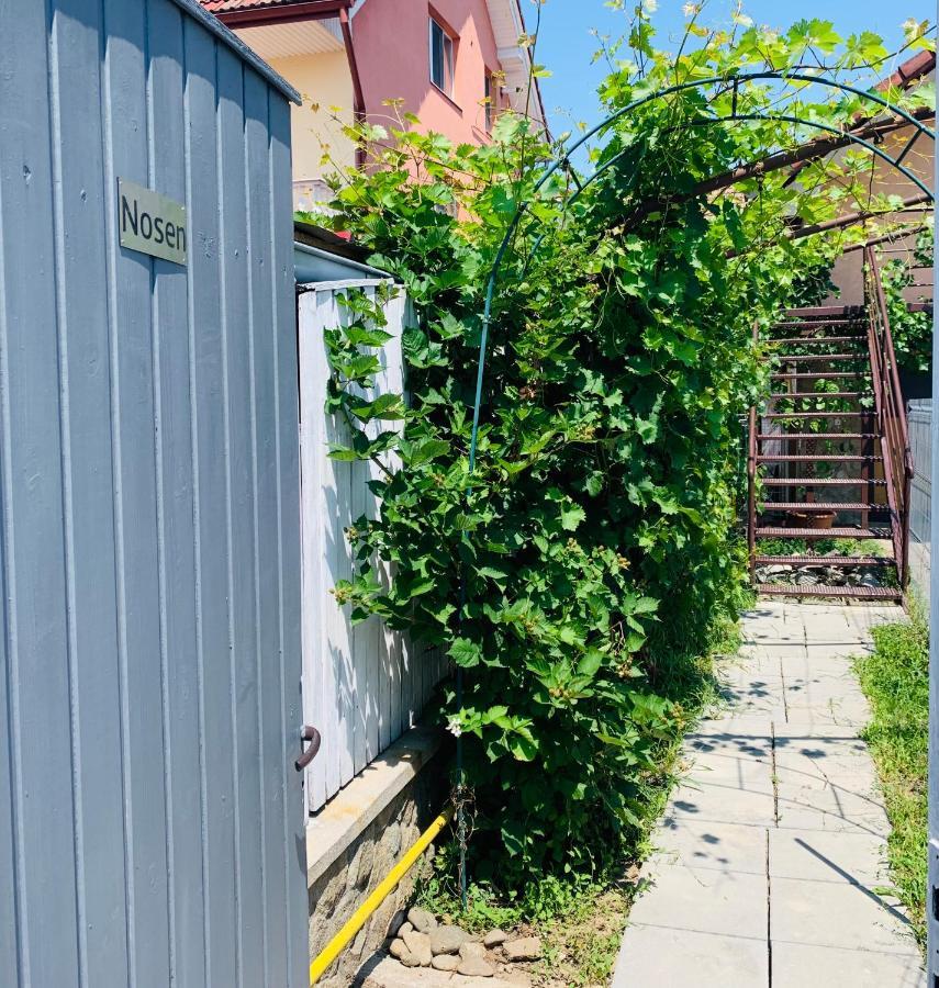 Nosen Apartment Bistriţa Kültér fotó
